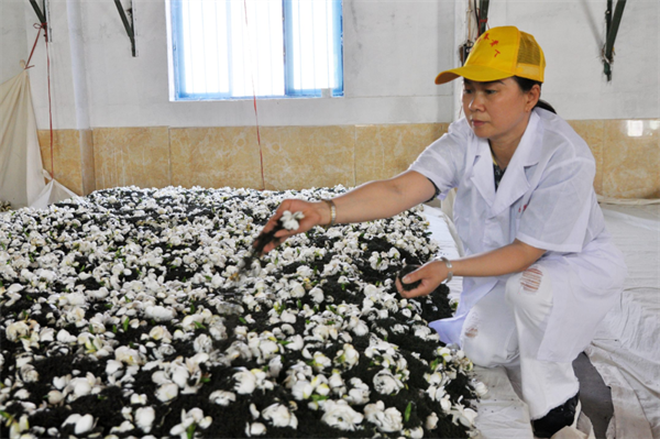 四川奉贵人茶企肖体华荣膺国家一级五星“中国制茶大师”